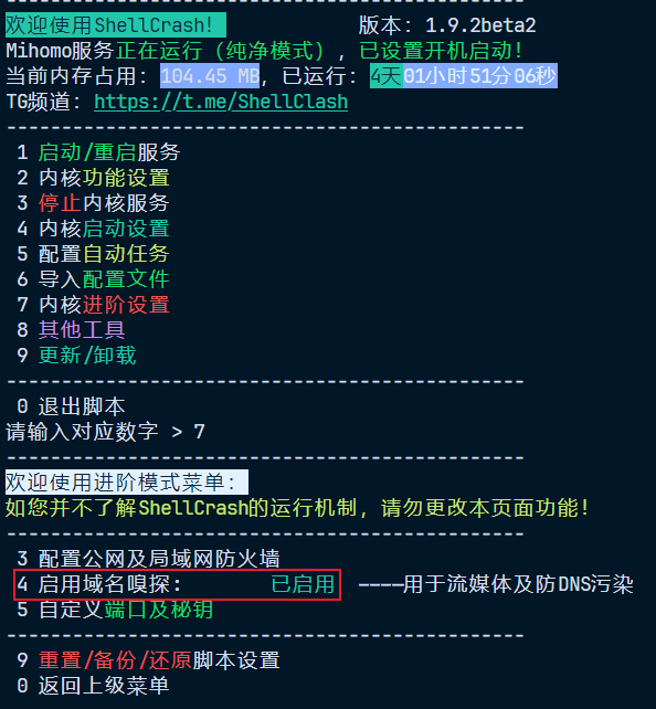 启用域名嗅探